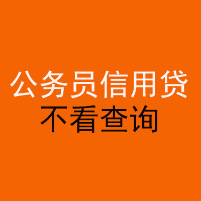 陇县公务员信用贷款